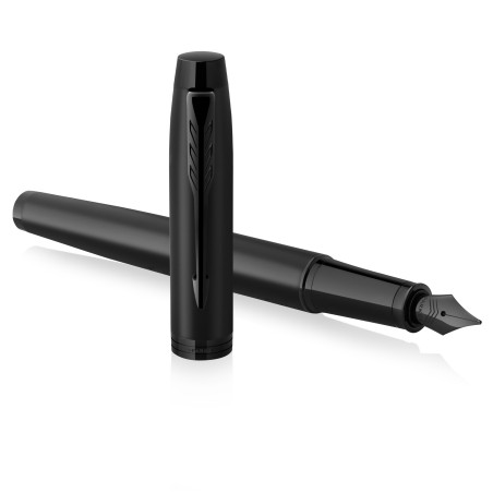 Stylo plume Parker IM noir mat
