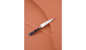 Couteau Office 10 cm