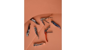 Tire-bouchon PULLTAPS set classic silver et son étui