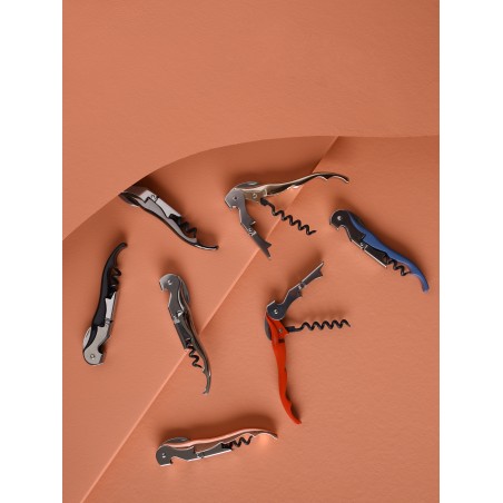 Tire-bouchon PULLTAPS set classic silver et son étui