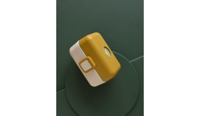 La lunch box des enfants - Tresor moutarde Safari