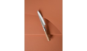 Trousse 3 Couteaux Japonais Acier Inoxydable