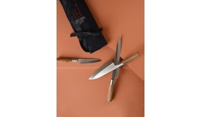 Trousse 3 Couteaux Japonais Acier Inoxydable